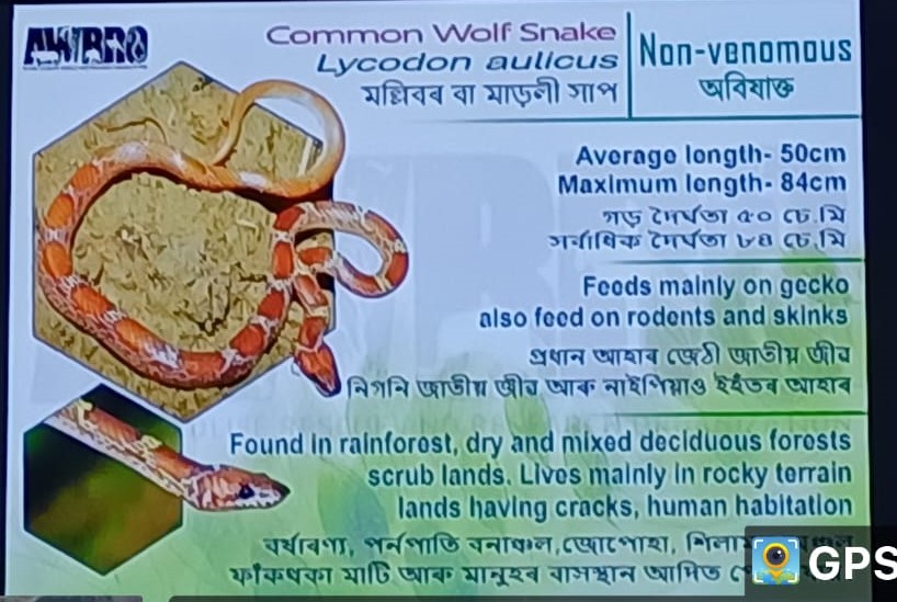 Program on Snakes & Snakebite